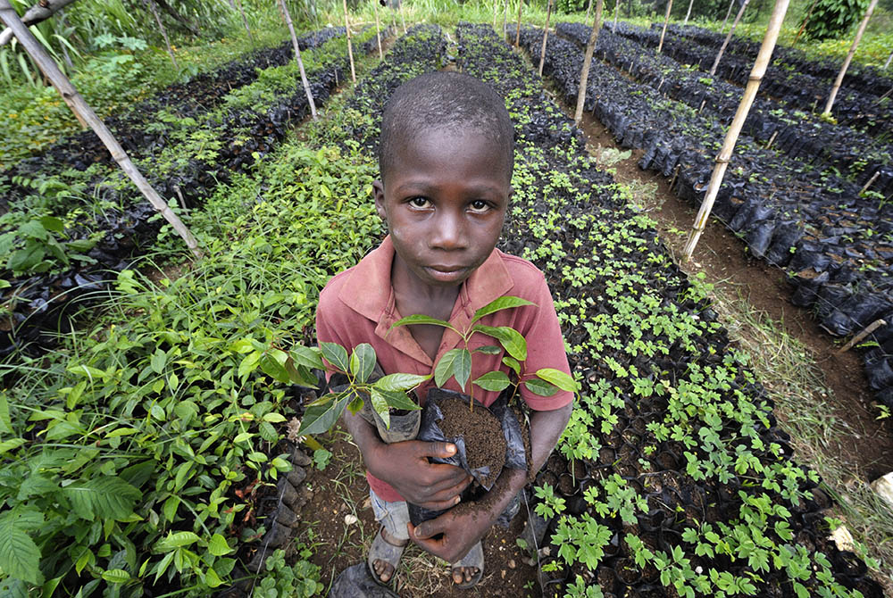 Lens on Creation Planting trees to heal the Earth National Catholic